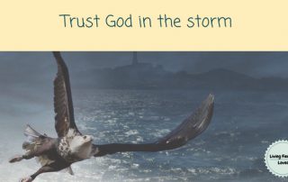 trusting God when life hurts