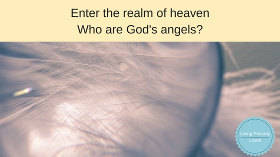 Who are God's Angels-Enter the realm of heaven