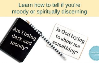 discerning spiritual discernment